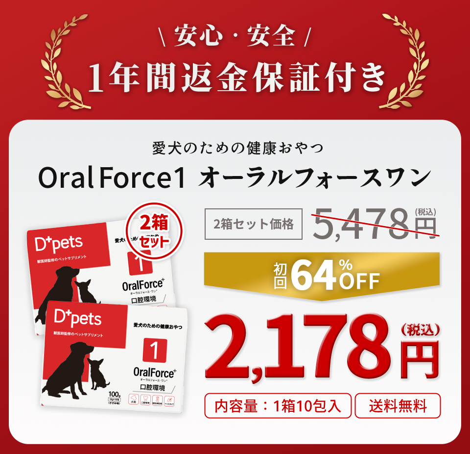 Dpets OralForce1 オーラルフォースワン 10包　4箱セット オーラルフォースワン 犬 おやつ 歯磨き 歯周病予防 口腔ケア